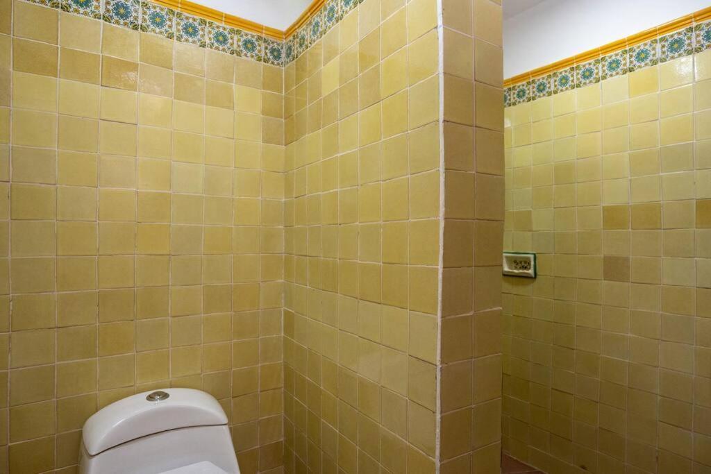 Amapola Loft Apartment San Miguel de Allende Bagian luar foto