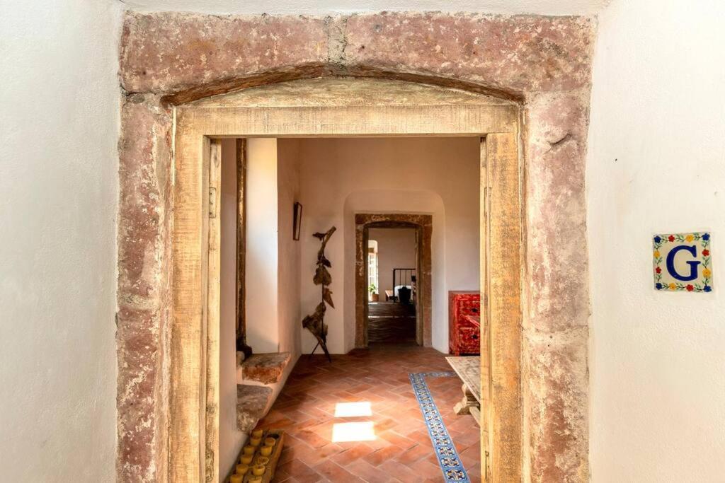 Amapola Loft Apartment San Miguel de Allende Bagian luar foto